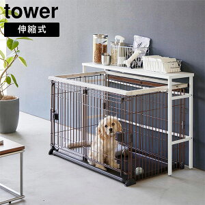 Lk ybgP[WドbN ^[ R tower zCg ubN 4086 4087 ybgpi ybgQ[W  Q[W [bN  [ bN I u    ֗ yGlad Li