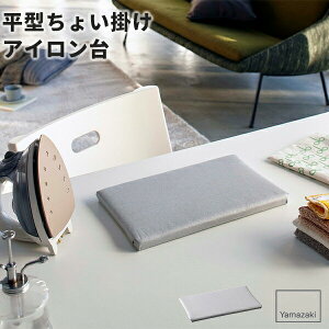 AC AC [R] ^傢|AC A~ 4991 AC{[h ~jTCY A~R[eBO ACpi ȃXy[X グ RpNg Vv l[^O A