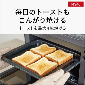 Shark �V���[�N EVOPOWER SYSTEM STD �R�[�h���X�X�e�B�b�N�N���[�i�[ CS102JGY �O���[�W��