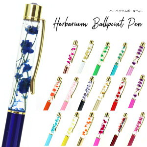 {[y Mtg Əj j LO NX^ n[oE y   킢 v[g CN t[  LOi wj ʔ 2025 av[g