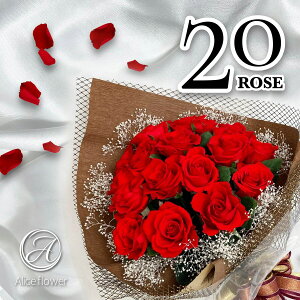 vU[uht[ o 20(20{) ԑ X^ht Mtg a Ki u[P v|[Y KN  蕨 v`  sN o j u[PX^h ސEj җ AX