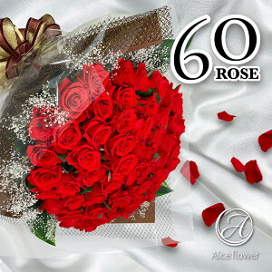 vU[uht[ o 60(60{) ԑ X^ht Mtg a Ki u[P v|[Y KN  蕨 v`  sN o j u[PX^h ސEj җ AX