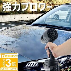 【P3倍】【TikTokで今話題の】 ブロワー エアダスター 洗車 落ち葉 掃除 強風 ターボジェットファン リチウムバッテリー 充電式 小型 強力 互換 エアー ハンディ