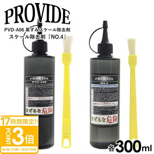yP3{zv@Ch ݃XP[ PVD-A06 XP[܁wNO.4x 300ml ѕt PROVIDE  oCN  ԃObY ݏ XP[ eiXN[i[ PA | 