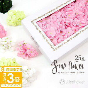 yP3{z\[vt[ AWTC 25 ԍ   z Ki A[eBtBVt[ u[P [XAW AWg  nhCh ޗ   e