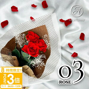 yP3{zvU[uht[ o 3(3{) K̉ԑ Mtg [Yu[P t[AWg Ki KN ԑ u[P ԑ ALICE FLOWER_AXt[  AWg Mtg 20022