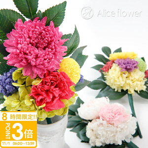 yP3{zvU[uht[   ~ d ~jd ԗȂ      ̉ ͂Ȃ  e J[l[V  dp d AW ~pi  i