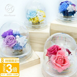 yP3{z vU[uht[   ~j d ~ Ki ފ @ V~ ~ r r  ybg [Y o  ͂Ȃ 