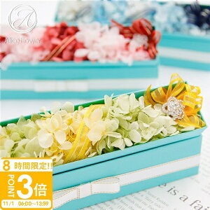 yP3{zvU[uht[ AWg {bNX Mtg   v[g Ki j a ސEj LO LO  킢 NX}X A[gt[ CG