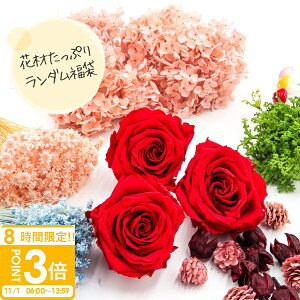 yP3{z  ԍ  vU[uht[ hCt[ \[vt[   nhCh t  I EGJ{[h MtgbsO  ԍ A\[g 