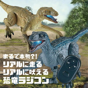  WR _Ci\[   WFVbN ǂ 傫 ObYy FLvgzq ߋ lC D {iI led  usb [d 2.4ghz SҌ R c 