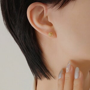 sAX fB[X t[ `[t KN AM[Ή T[WJXeX ςȂOK ×pXeX A S[h Vo[