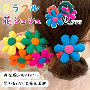 VV LbY 2 Zbg wAS Jt  ̎q q ǂ wAANZT[ S 킢 LbY_Xߑ 