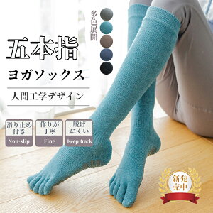 yPonPonFitzV ܖ{w K\bNX hbg~ gD\bNX H ~ O seBX C n  _X K X|[c\bNX  tBbglX g[jO 1g ~