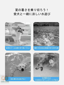 yXS`XXLz񂿂p CtWPbg ̂ ^ ^ ^  V C  ~ Vg̗ybg p t[eBOxXg CtxXg ybgpi pCtWPbg 