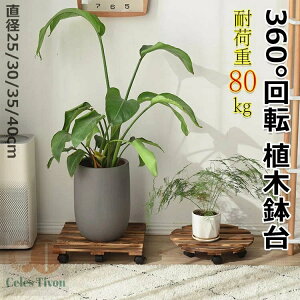 Aؔ ؐu LX^[t 360°] u v[g ω׏d80kg ی`؂̐Aؔg[ v^[X^h ؐ LX^[ ~` ԑ L[u u v^[  