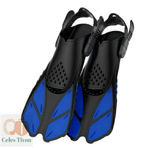 TCY y EȒP Kp j XCtB _CrO Ђ XgbvtB tB Vm[P Vm[PO