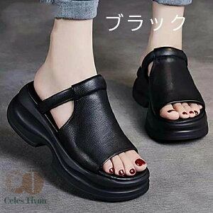 T_ fB[X T_  ₷ y X|T Ȃ X|[cT_ V[Y q[ ~ ʋC r K  s t  ɂ Vv JW