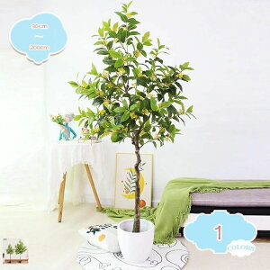 lHϗtA ؍ ؍ NZC tFCNO[ tFCNc[ ^ CeA ͂Ȃ ~͐A  O  rO xbh[ K[f  x_ ׍HJ tFCN