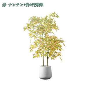 lHϗtA ^ RŃA  tFCNO[ ^ CeA  O tFCNA lHϗtA sv ͂Ȃ ~͐A tFCNO[ rO _CjO 