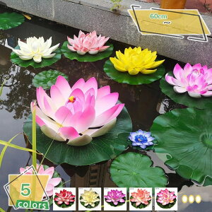 @̗t  lH@t XCpbhi 60cmlHϗtA v[  1_Zbg sȂ lHϗtA ȓlHt ̒r  tFCNO[ Ǌ| lHt fR[