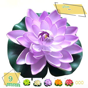 @̗t  lH@t XCpbhi lHϗtA 17cm v[  4_Zbg sȂ lHϗtA ȓlHt ̒r  tFCNO[ Ǌ| lHt fR[