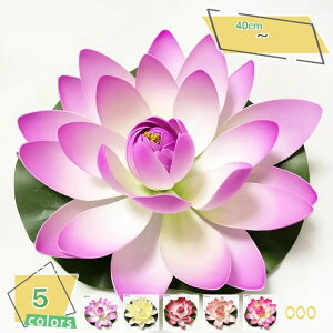 @̗t  lH@t XCpbhi 40cmlHϗtA v[  1_Zbg sȂ lHϗtA ȓlHt ̒r  tFCNO[ Ǌ| lHt fR[