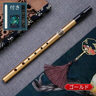 ティンホイッスル C/D管 初心者 中級者向け 管楽器 アイリッシュホイッスルフルート