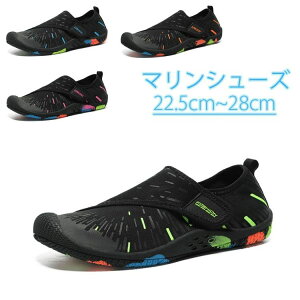 }V[Yyzr[`V[Y Y jp y fB[X _炩 ʋC LkɗD }WbNe[v NAV[Y gѕ֗ bVV[Y r[`V[Y Ђ