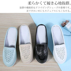 JV ~[ fB[X ؂ JVV[Y  t y JV[t@[ V[Y 5cm {v C ʋC  킢 _炩 K 傫TCY RtH[gV[Y