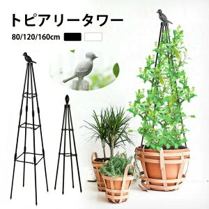 gsA[XeBbN o U  gsA[^[ K[fjOpx ȒP  ȈՑg 鐫A  op K[f x Ԏx  KN  U AT|[g