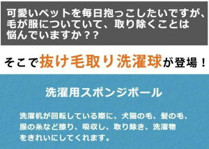 20/30 ybg̖ю  W {[ p X|W ݖh~ ybg  | N[i[ ю L̖ ̖  ˂  h[{[ ObY ю