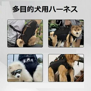 ptgn[lX ybgT|[g&nre[V XOtg ߉\ȃpbh ʋCXgbv ptgn[lX QҁA萫̒ቺ ̎Up