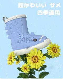 C CV[Y C LbY Cu[c ~ _炩 xr[ qǂ ǂ qp Cu[c 킢 T w ̎q j̎q xr[ ˔ tN^[ V J J