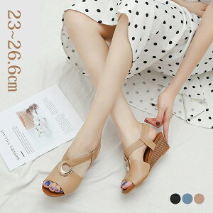 {w~A T_ fB[X T_ EFbW\[ T_ r 5cmq[ {w~A ₷ ][gT_ r[`T_ ꂢ IV 傫TCY 