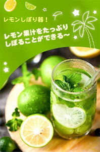 i i nhW[T[ 蓮 t[ci a7cm XeXF nhW[T[ 蓮W[T[ ʏ` vX ڂ t[cڂ i 