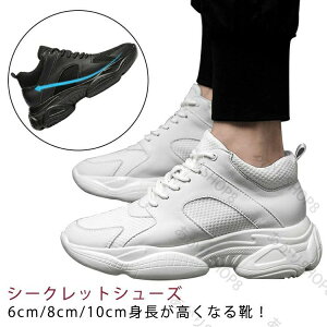 Xj[J[ 6cm gup V[Y V[Nbg 8cm 10cm Y Xj[J[ wȂC  Cq[ V[Y C K JWA ^C ʋCQ ₷ gAbv Vv V