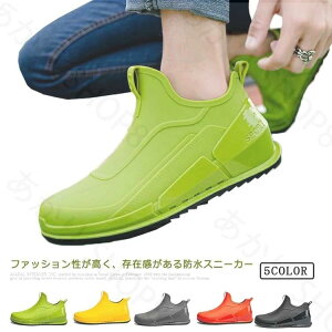  CV[Y Xj[J[ V[g h  킢 h AEghA y y Cu[c Y  _bhXj[J[ ʋ JC Jp ɂ JWA 