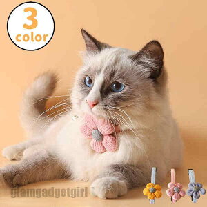 V ybgp2_Zbg ^ L  `[J[ ANZT[  t [X ߂ ʐ^B蓹 LOtHg S[WX GKg  ybgpi 2_