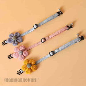 V ybgp2_Zbg ^ L  `[J[ ANZT[  t [X ߂ ʐ^B蓹 LOtHg S[WX GKg  ybgpi 2_