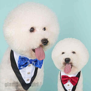 V ybgpX^C ^ L  `[J[ Op ^ ^ ANZT[  t [X ߂ ʐ^B蓹 LOtHg S[WX GKg  y