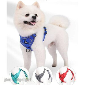   n[lX [hZbg L bV ^ ^  Ȃ ȒPE Ռz h~ U s hCu TCNO v[g Mtg V