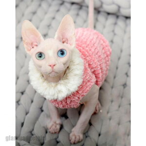 ybgEFA L  ۉ h H ~  t@[ݕt hbOEFA ybgp p   L s AE^[ o| v[g Mtg  V