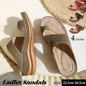 T_ gOT_ ew fB[X   傫TCY  r[` q[ ɂȂ 5cmZ`q[ H| ʋC LȂ  ₷  pu y ɂ 