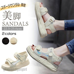 X|[cT_  ubN O[ fB[X T_ 6cm RtH[g T_ r[`T_ ăr[T y xN Xj[J[ X|[c T_ ɂȂ ₷