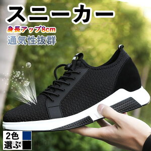 Xj[J[ V[NbgV[Y Y  gAbv8cm Cq[ YC YV[Y ʋCQ K V[Y ^C  u[ C V[Nbg V[Y Y  t