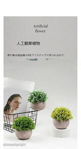 ϗtA 4_Zbg ~j G}lHA  12cm CeAO[ ~jϗtA   tFCNO[ lHϗtA  CeA bsv v[g zj V