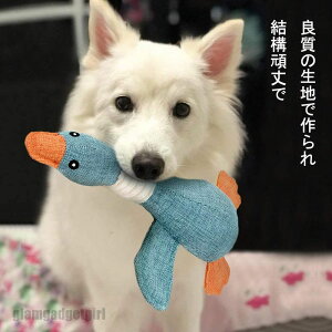ybg ʂ  L  ނ Ԃԉ XgXU ^s΍  C o邨 ybg炵 ʔ  _炩 ϋv S 