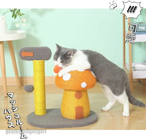 Lbg^[ L ܂Ƃ ^ ~j ߂Ƃ ܌ ܖ }bV[̌` VR[v ؐ u {[ t ^s ]|h~ 萫 gȒP ȃXy[