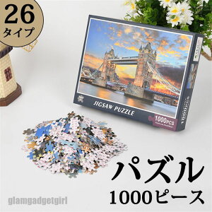 y20^CvzpY 1000s[X WO\[pY iF  A   lR G[QC Tg[j MV }CNs[X Puzzle Mtg a v[g av[g  V